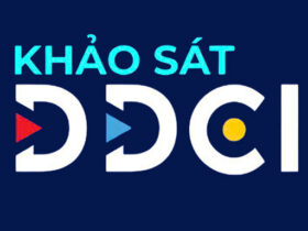 DDCI, khảo sát DDCI