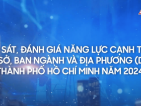 Khảo sát, đánh giá năng lực cạnh tranh cấp sở, ban ngành và địa phương (DDCI) Thành phố Hồ Chí Minh năm 2024